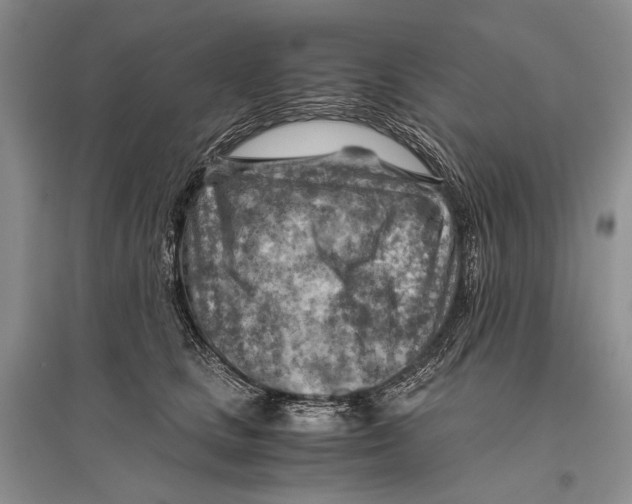 X0000096440661200802211211