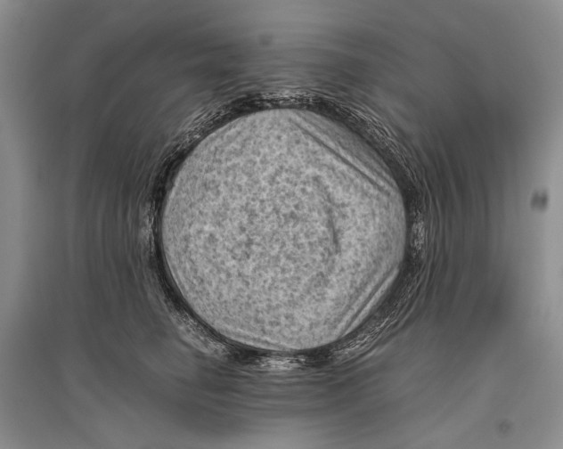 X0000096440662200802211211