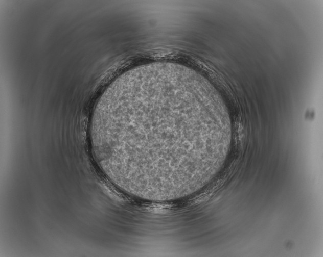 X0000096440664200802211211