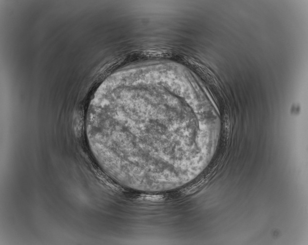 X0000096440665200802211212