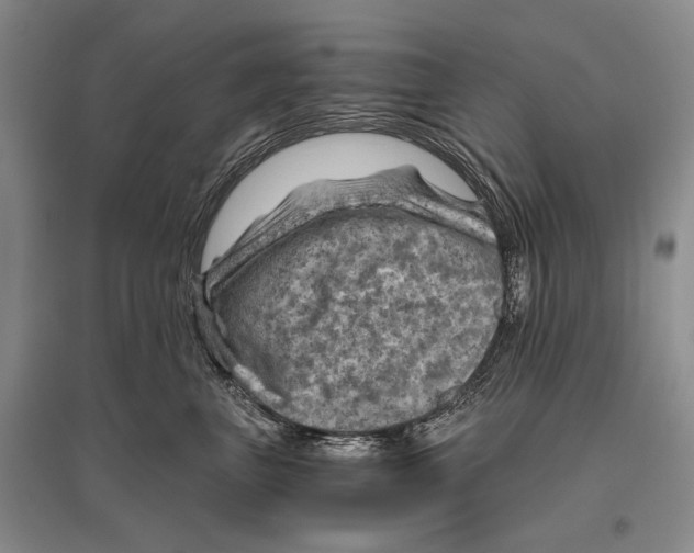 X0000096440667200802211212