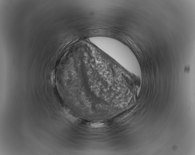 X0000096440669200802211212