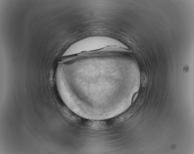 X0000096440670200802211212