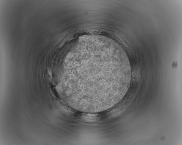 X0000096440671200802211212