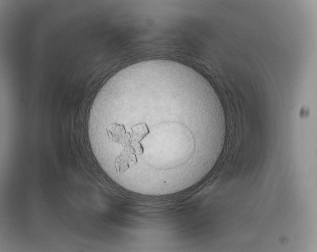 X0000096440672200802211212