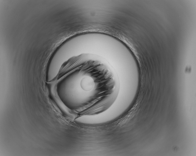 X0000096440673200802211211