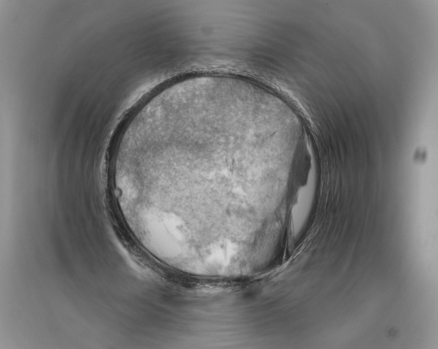 X0000096440674200802211211