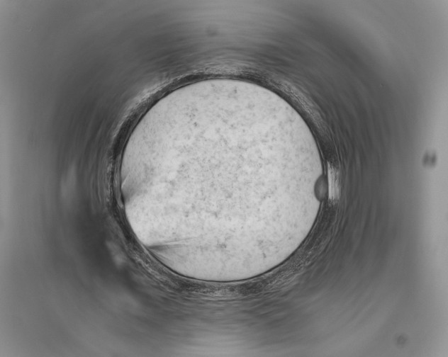 X0000096440675200802211211