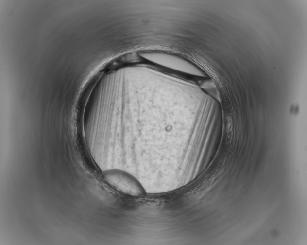 X0000096440676200802211211