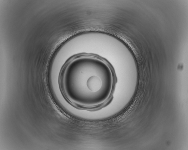 X0000096440677200802211211