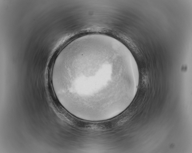 X0000096440678200802211211