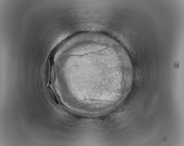 X0000096440679200802211211