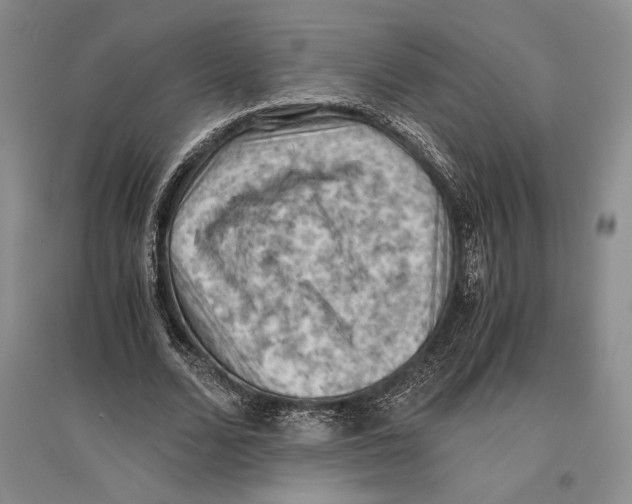 X0000096440680200802211211