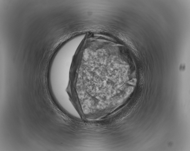 X0000096440681200802211211