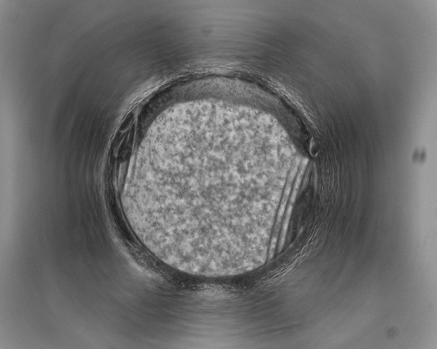 X0000096440682200802211211