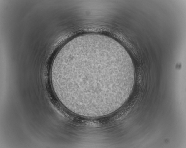 X0000096440683200802211211