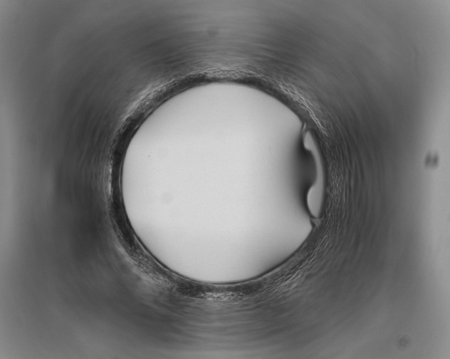 X0000096440686200802211211