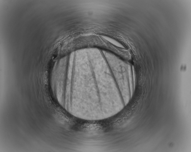 X0000096440689200802211211