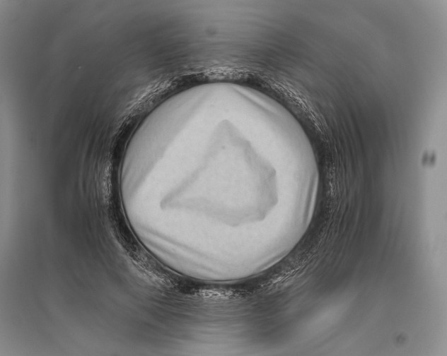 X0000096440690200802211211