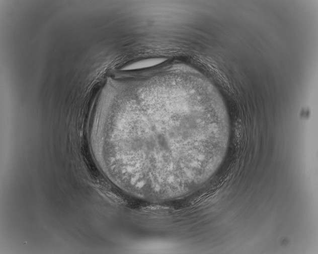 X0000096440691200802211211