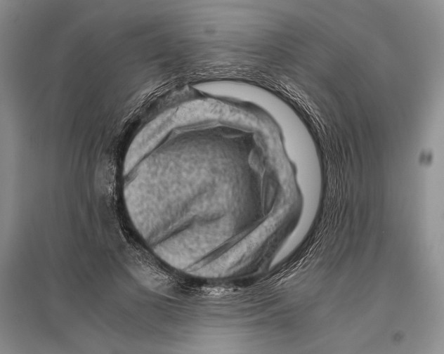 X0000096440693200802211211