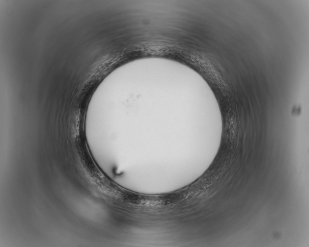 X0000096440694200802211211