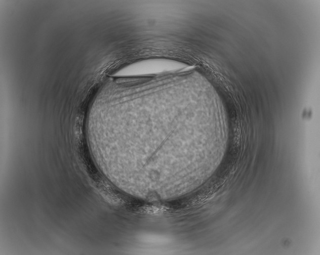 X0000096440695200802211211