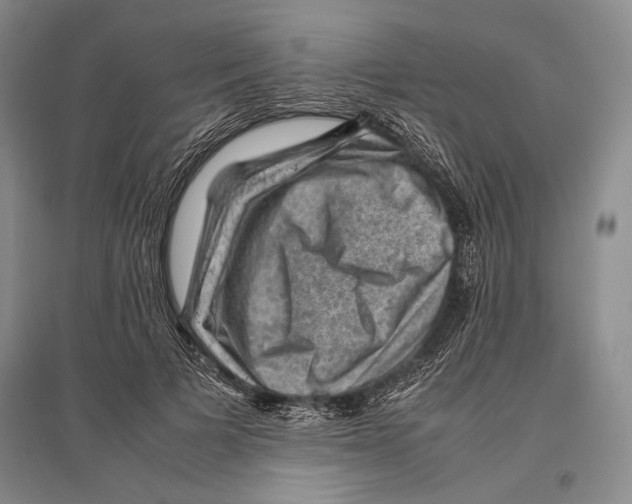 X0000096440697200802211211