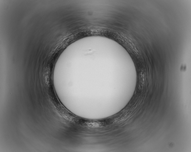 X0000096440698200802211211