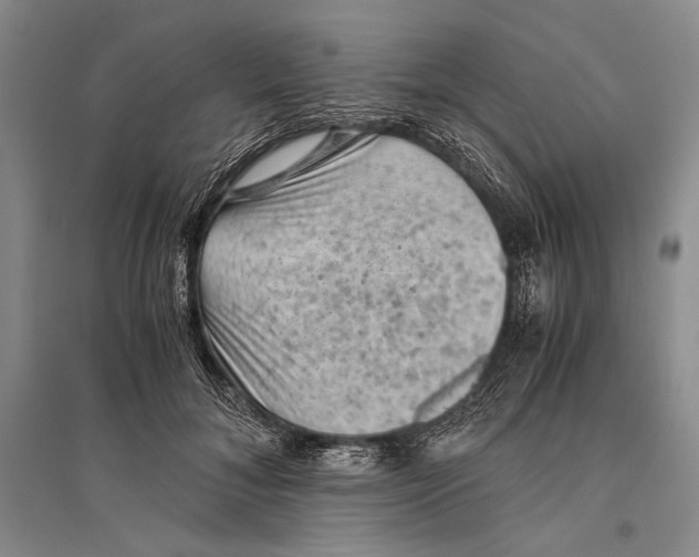 X0000096440700200802211211