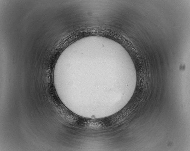 X0000096440702200802211210