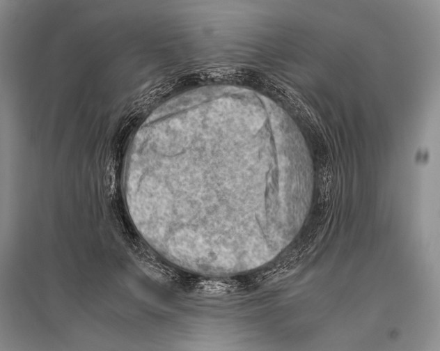 X0000096440703200802211210