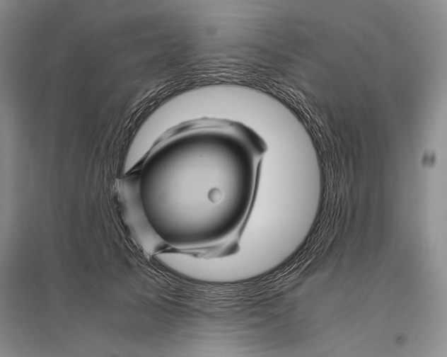 X0000096440705200802211210