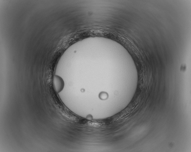 X0000096440706200802211210