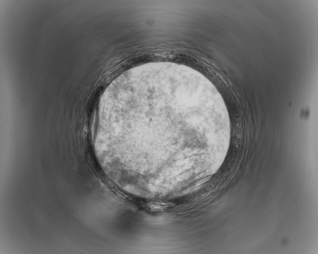 X0000096440707200802211210