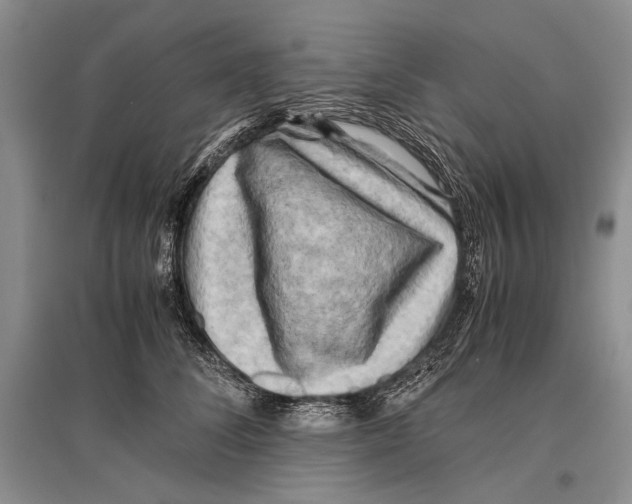 X0000096440708200802211210