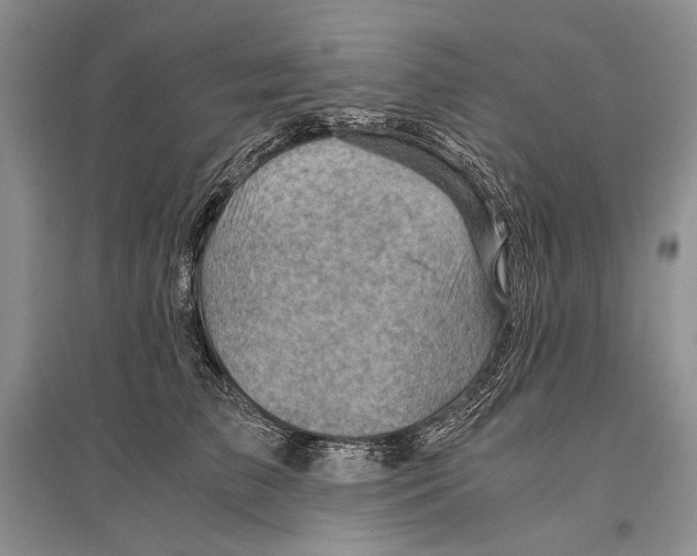 X0000096440709200802211210