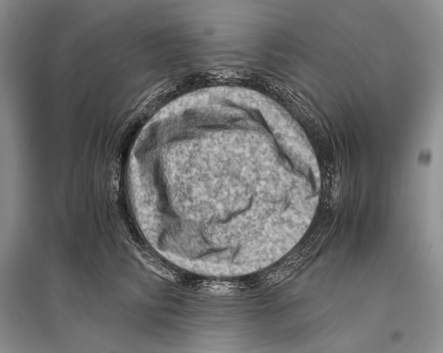 X0000096440710200802211210