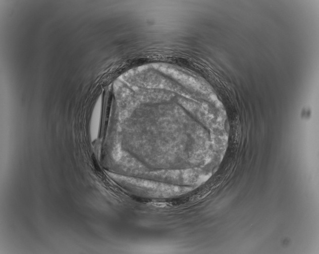 X0000096440711200802211210