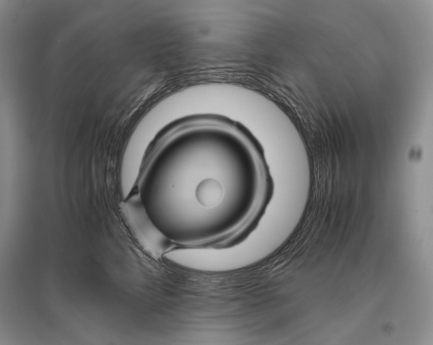 X0000096440712200802211210