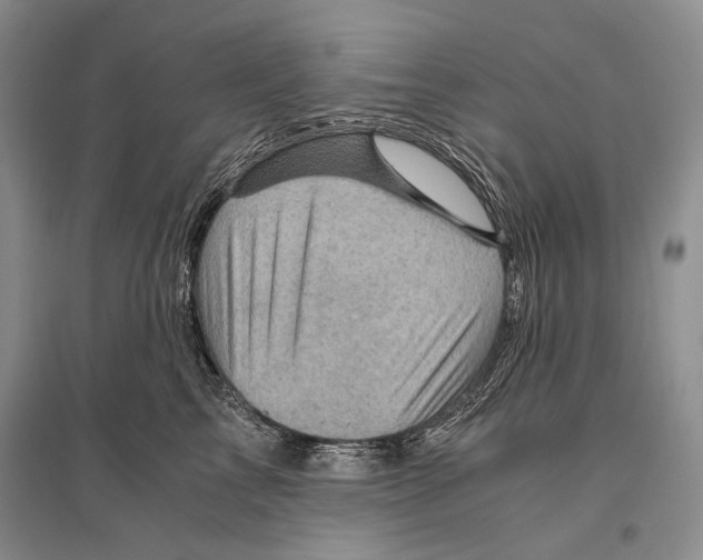 X0000096440713200802211210