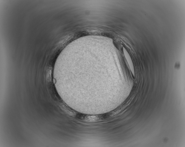 X0000096440717200802211210