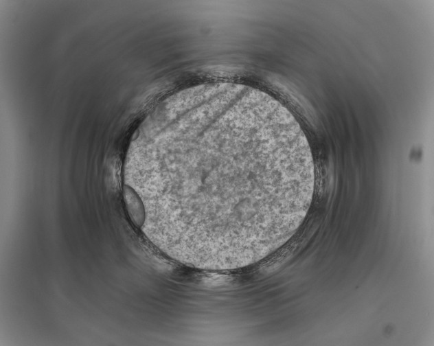 X0000096440718200802211210