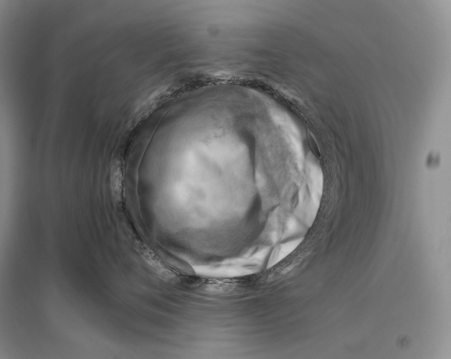 X0000096440720200802211210