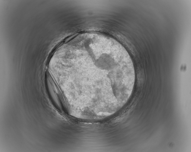 X0000096440721200802211209