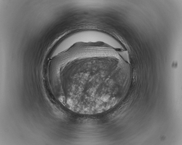 X0000096440722200802211209