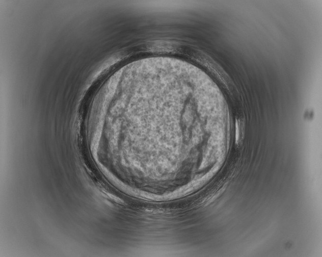 X0000096440723200802211209