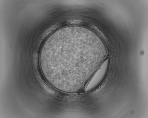 X0000096440725200802211209