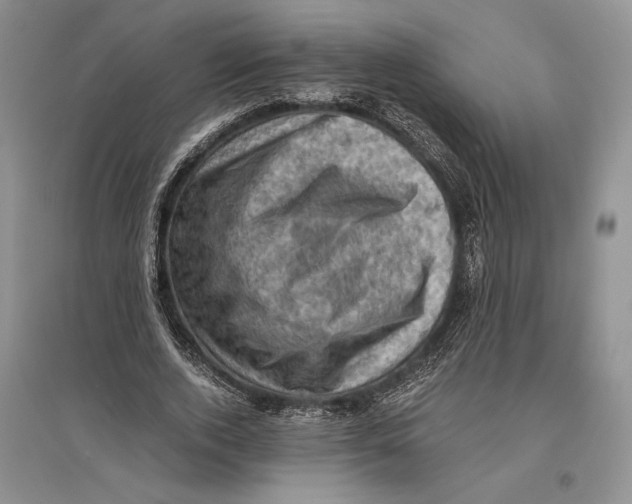 X0000096440728200802211209