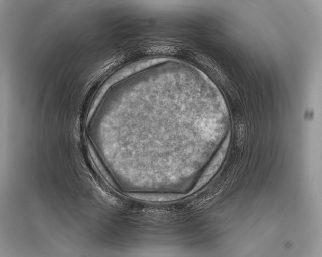 X0000096440729200802211209